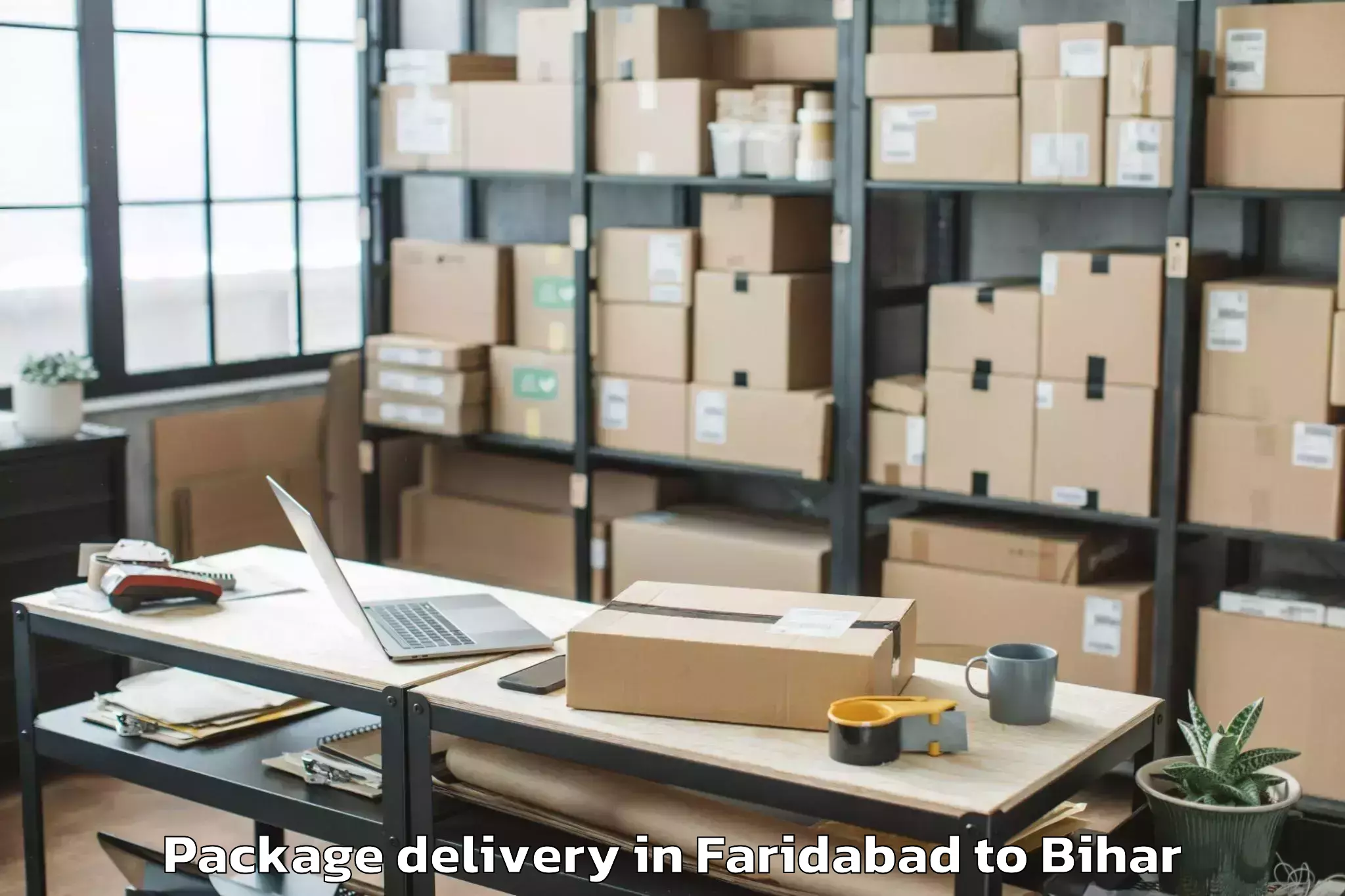 Quality Faridabad to Chanakya National Law Universi Package Delivery